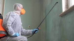 Trusted Spring Lake, NC Mold Removal & Remediation Experts